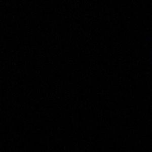 Meet your Posher, Abigail